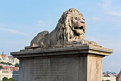 《战国王朝》上架Steam 日本封建时代模拟器